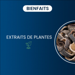 Honokiol pur 90% extrait de Magnolia officinalis 300 mg - 60 gélules vegan bienfaits