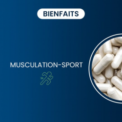 Dynveo L-Glutamine poudre BioKyowa® – en poudre, fermentation végétale, sport-musculation.