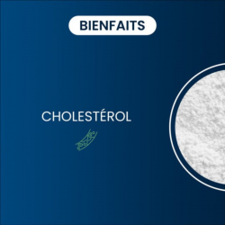 Complément Citicoline Cognizin® Dynveo – 250 mg par gélule, forme supérieure de choline, qualité Kyowa®.