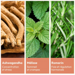 Essentiels Équilibre Féminin MiYé  avec Ashwagandha, Mélisse et Romarin