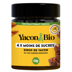 Sirop de yacon bio Nature 450 g Yacon & Co en pot de verre