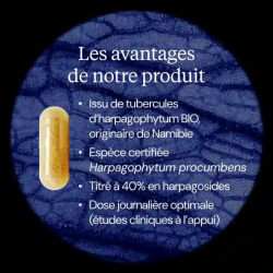 Harpagophytum Dynveo 80 mg d’harpagosides par gélule