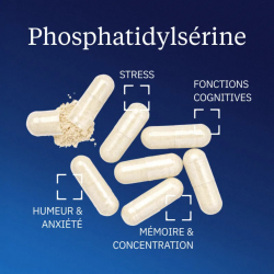 Dynveo Phosphatidylsérine végétale