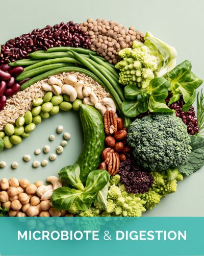 Aliments végétaux riches en fibres pour le microbiote et la digestion